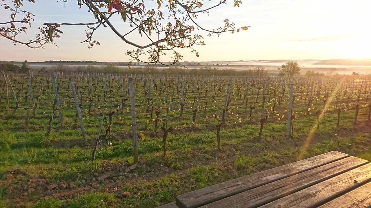 ホテル Weingut Familie Bauer Grossriedenthal エクステリア 写真